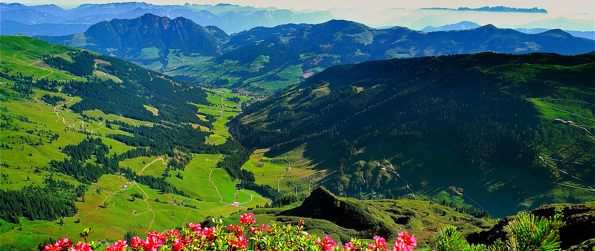 <br>Urlaub bei Freunden<br/><strong>Familie Hausberger</strong>